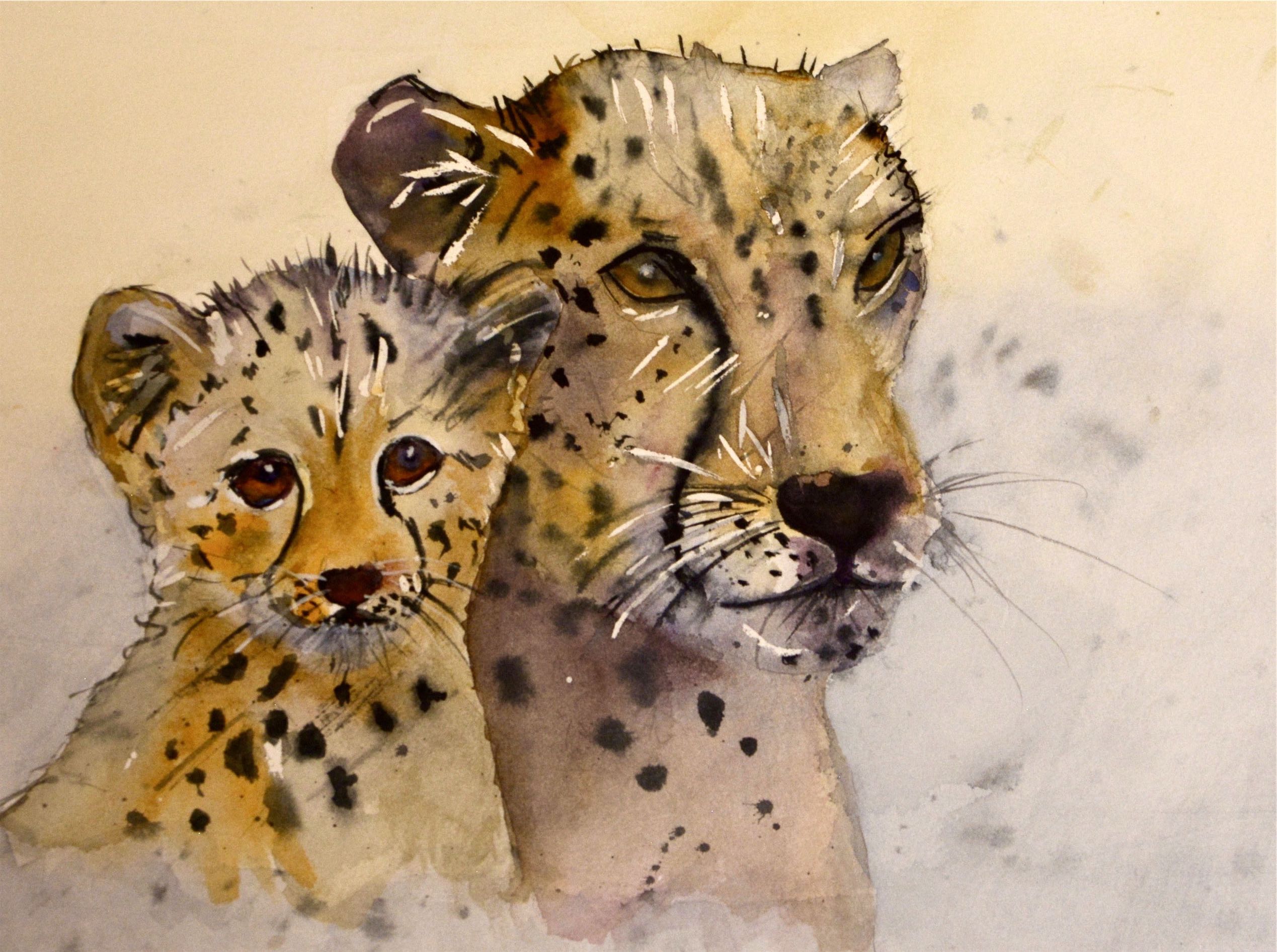Cheetah and cub
